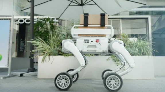 D5 環境適應性 30KG 負載